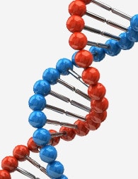 Генетическая предрасположенность и возраст человека